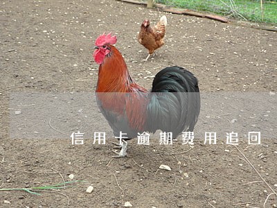 信用卡逾期费用追回