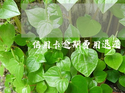 信用卡逾期费用退还 信用卡逾期费用退还
