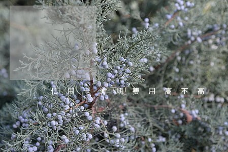信用卡逾期费用高不高 信用卡逾期费用高不高