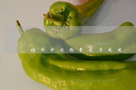 信用卡逾期费程序规定 信用卡逾期费程序规定