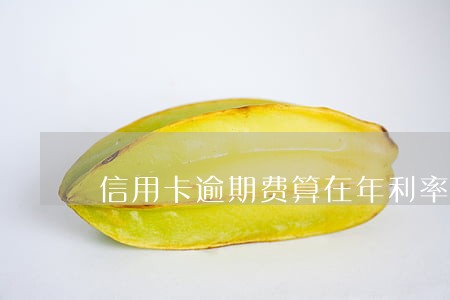 信用卡逾期费算在年利率吗 信用卡逾期费算在年利率吗