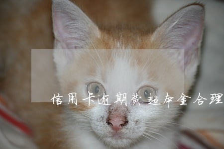 信用卡逾期费超本金合理吗
