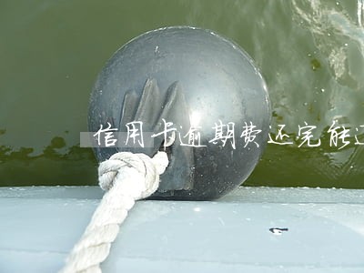 信用卡逾期费还完能退么