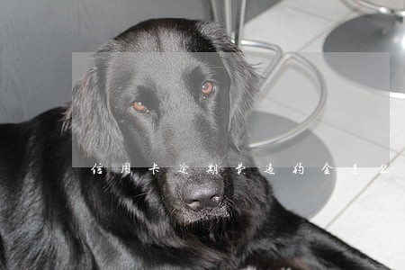 信用卡逾期费违约金怎么减免 信用卡逾期费违约金怎么减免