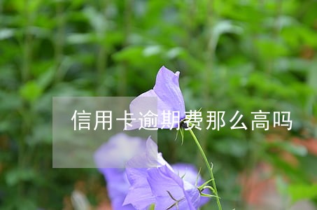 信用卡逾期费那么高吗 信用卡逾期费那么高吗