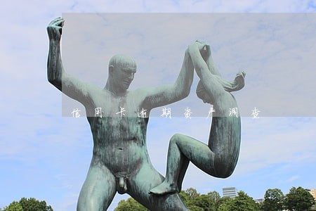 信用卡逾期资产调查 信用卡逾期资产调查