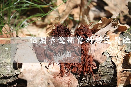 信用卡逾期资料移送司法机关 信用卡逾期资料移送司法机关