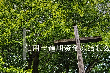 信用卡逾期资金冻结怎么解决 信用卡逾期资金冻结怎么解决