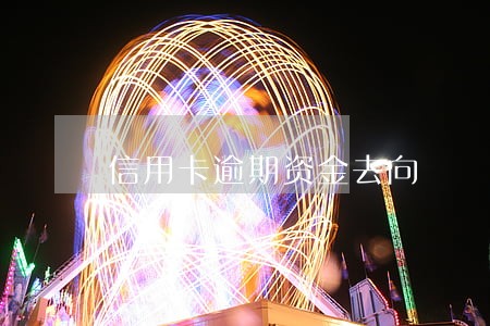 信用卡逾期资金去向