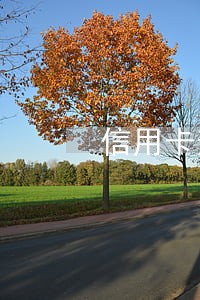 信用卡逾期资金用途怎么回答 信用卡逾期资金用途怎么回答