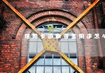 信用卡逾期资金用途怎么应付银行