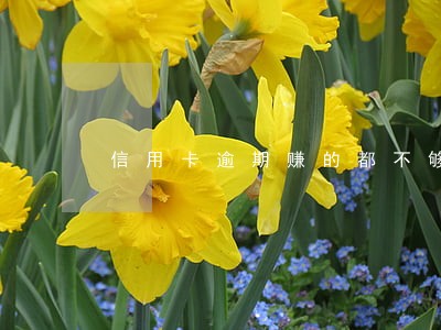 信用卡逾期赚的都不够还息