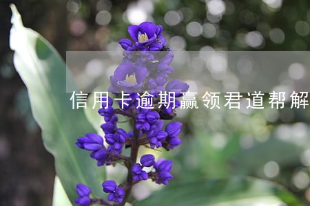 信用卡逾期赢领君道帮解决选