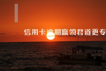 信用卡逾期赢领君道更专业 信用卡逾期赢领君道更专业