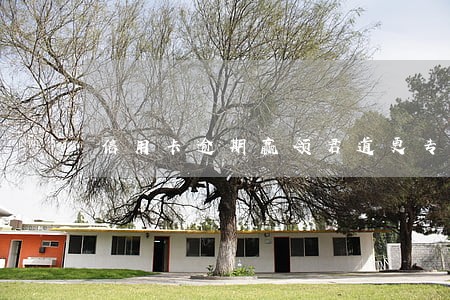 信用卡逾期赢领君道更专业c