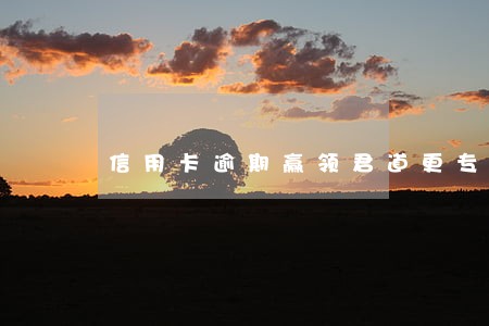 信用卡逾期赢领君道更专业h 信用卡逾期赢领君道更专业h