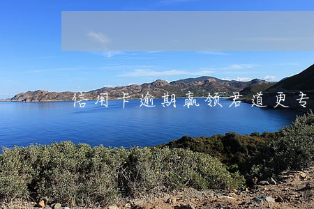 信用卡逾期赢领君道更专业k 信用卡逾期赢领君道更专业k