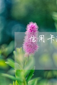 信用卡逾期走司法后会怎么样 信用卡逾期走司法后会怎么样