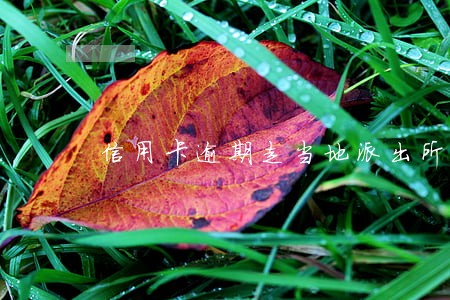 信用卡逾期走当地派出所 信用卡逾期走当地派出所