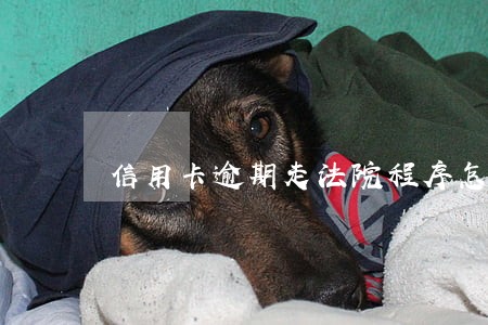信用卡逾期走法院程序怎么办 信用卡逾期走法院程序怎么办