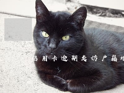 信用卡逾期走访户籍地怎么协商 信用卡逾期走访户籍地怎么协商