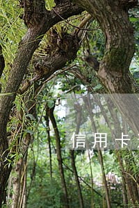 信用卡逾期走访调查组 信用卡逾期走访调查组
