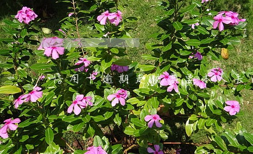 信用卡逾期走访需要本人去面对吗 信用卡逾期走访需要本人去面对吗