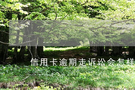 信用卡逾期走诉讼会怎样 信用卡逾期走诉讼会怎样