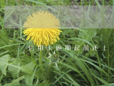 信用卡逾期起前还上 信用卡逾期起前还上