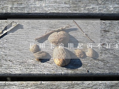 信用卡逾期起诉不开庭会怎么样 信用卡逾期起诉不开庭会怎么样