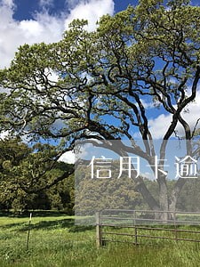 信用卡逾期起诉了会判坐牢吗 信用卡逾期起诉了会判坐牢吗