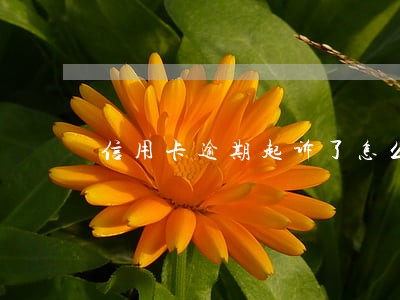 信用卡逾期起诉了怎么谈判