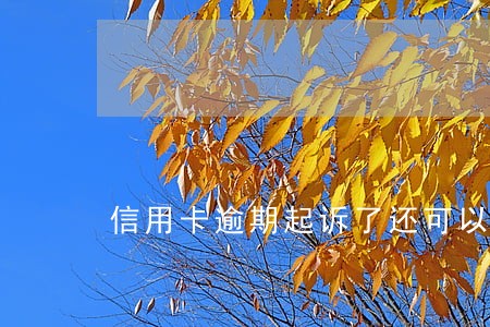 信用卡逾期起诉了还可以协商吗 信用卡逾期起诉了还可以协商吗
