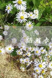 信用卡逾期起诉事由 信用卡逾期起诉事由