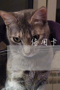 信用卡逾期起诉交罚金 信用卡逾期起诉交罚金