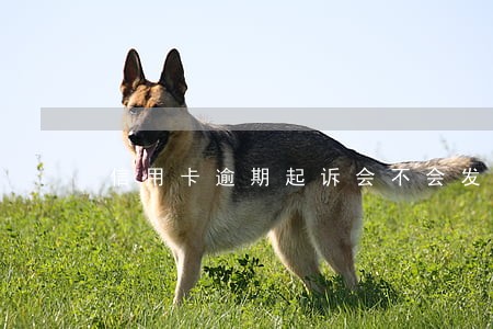 信用卡逾期起诉会不会发信息 信用卡逾期起诉会不会发信息