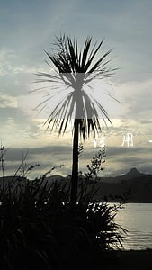 信用卡逾期起诉会只还本金吗 信用卡逾期起诉会只还本金吗