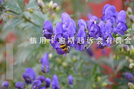 信用卡逾期起诉会有罚金 信用卡逾期起诉会有罚金