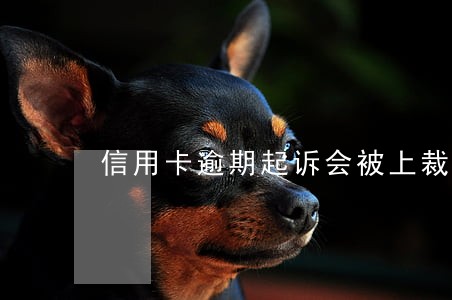 信用卡逾期起诉会被上裁决网么 信用卡逾期起诉会被上裁决网么