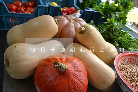 信用卡逾期起诉会通知持卡人吗 信用卡逾期起诉会通知持卡人吗