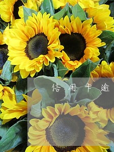 信用卡逾期起诉信息怎么查询 信用卡逾期起诉信息怎么查询