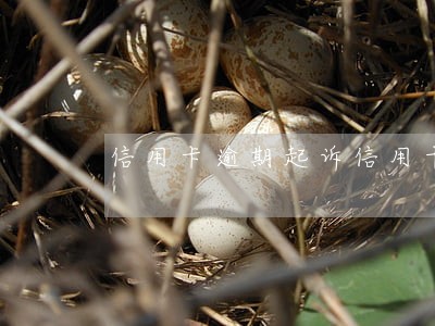 信用卡逾期起诉信用卡诈骗