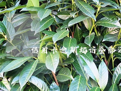 信用卡逾期起诉全部还完还 信用卡逾期起诉全部还完还