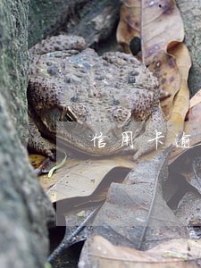 信用卡逾期起诉判决通知了 信用卡逾期起诉判决通知了