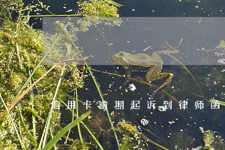 信用卡逾期起诉到律师函要多久 信用卡逾期起诉到律师函要多久