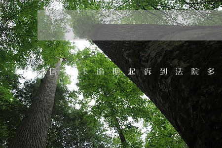 信用卡逾期起诉到法院多久判决 信用卡逾期起诉到法院多久判决