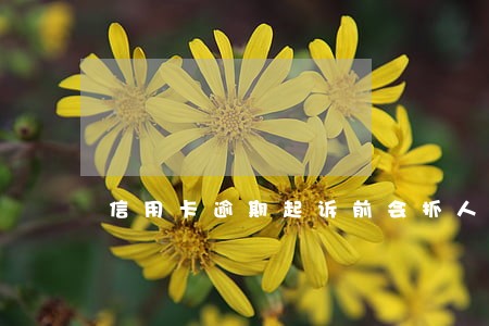 信用卡逾期起诉前会抓人吗 信用卡逾期起诉前会抓人吗