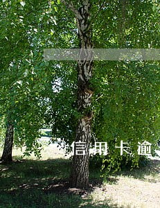 信用卡逾期起诉前必须上门吗 信用卡逾期起诉前必须上门吗