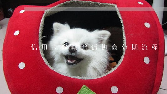 信用卡逾期起诉协商分期流程