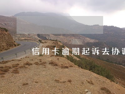 信用卡逾期起诉去协调